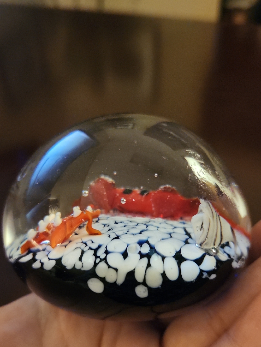 Glass Art Glass Aquarium Style Paperweight Ornament - Red Crab Fish Starfish - Picture 9 of 11